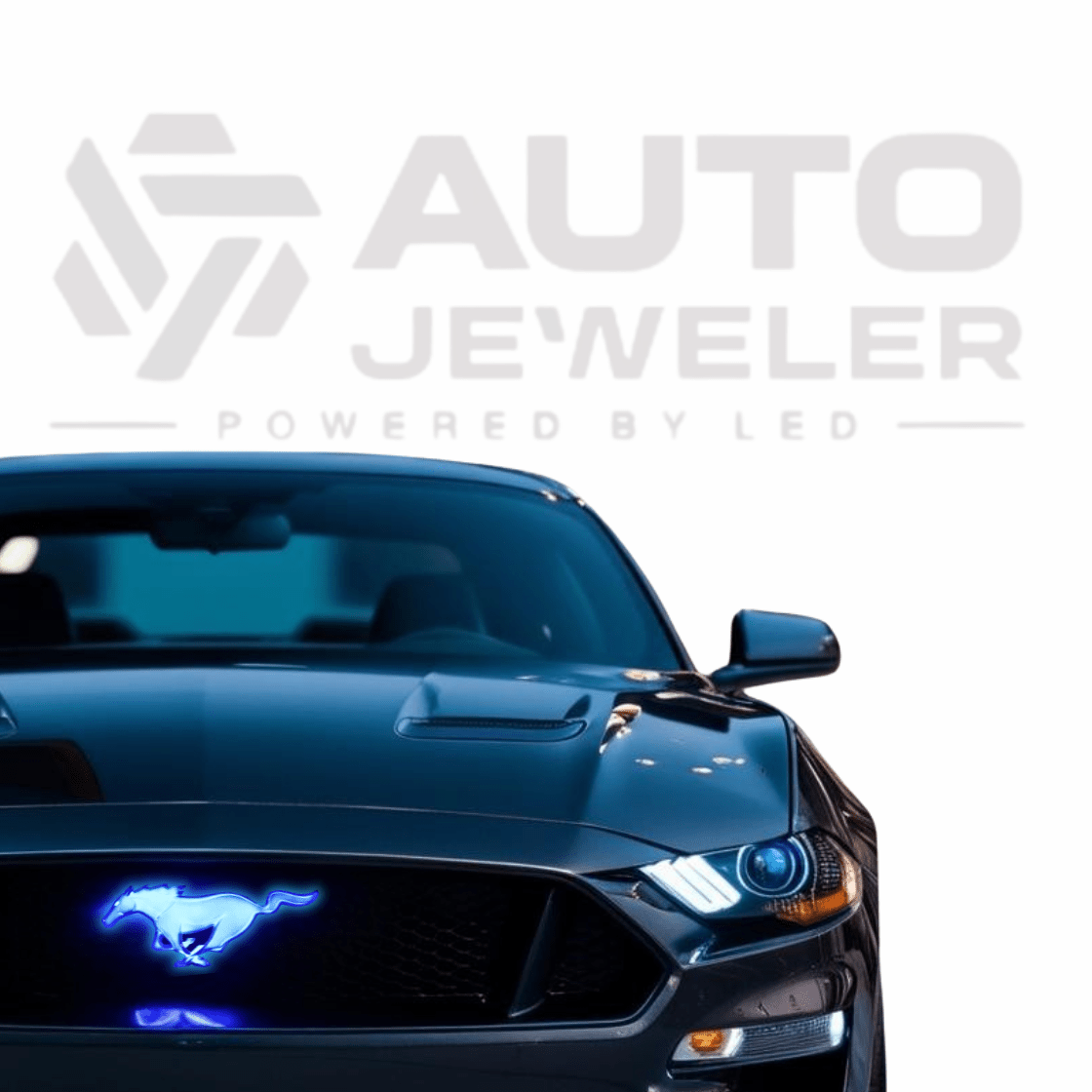 2015 - 2024 Ford Mustang Pony BLUE LED Lighted Grille Emblem – BlackLED Illuminated Emblems