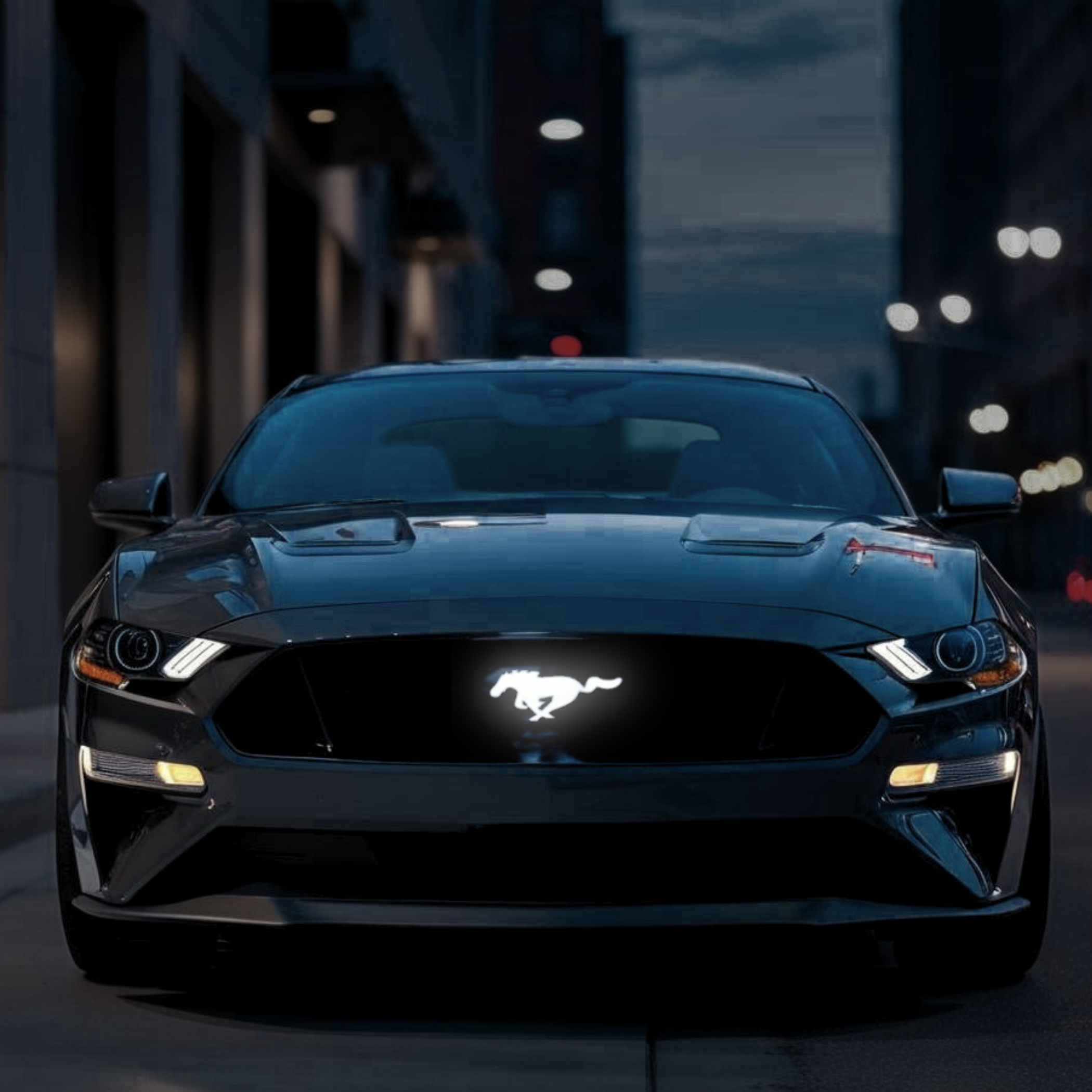 White LED illuminated Ford Mustang pony grille emblem on S550 Mustang at night front view city background