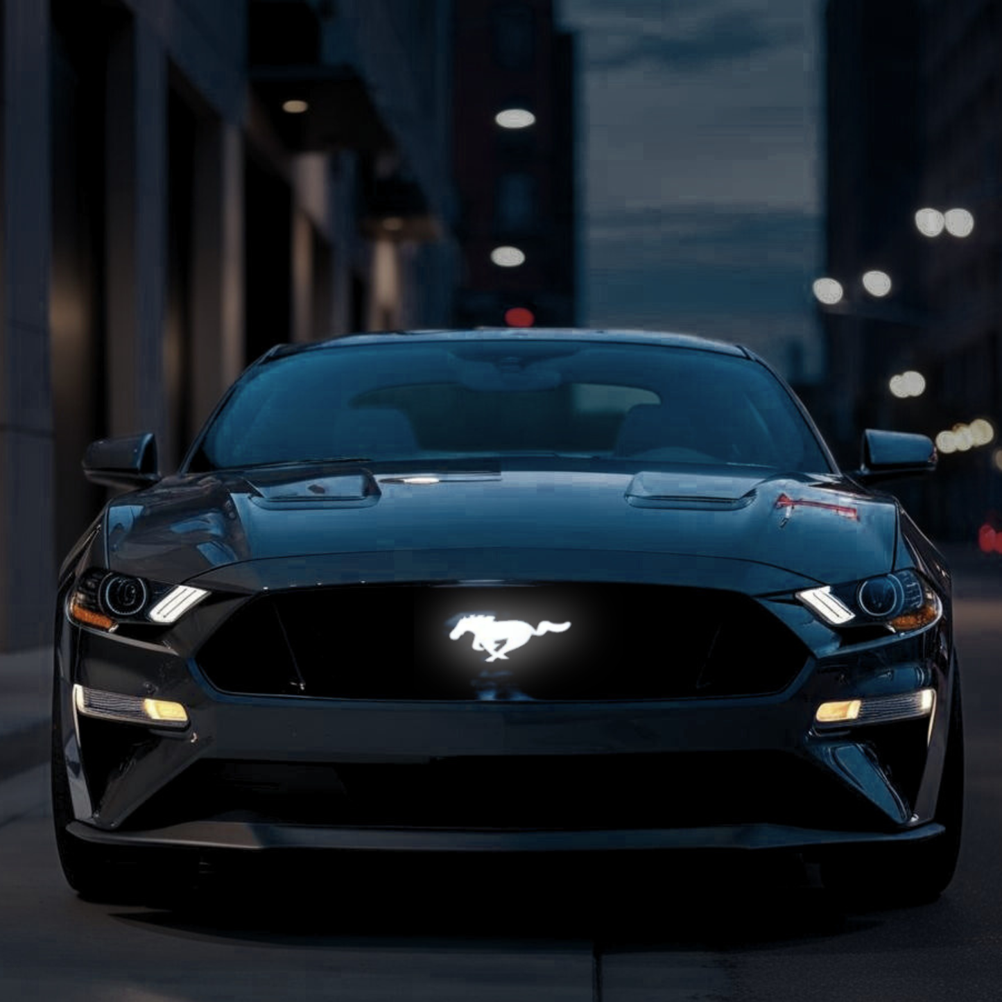 White LED illuminated Ford Mustang pony grille emblem on S550 Mustang at night front view city background