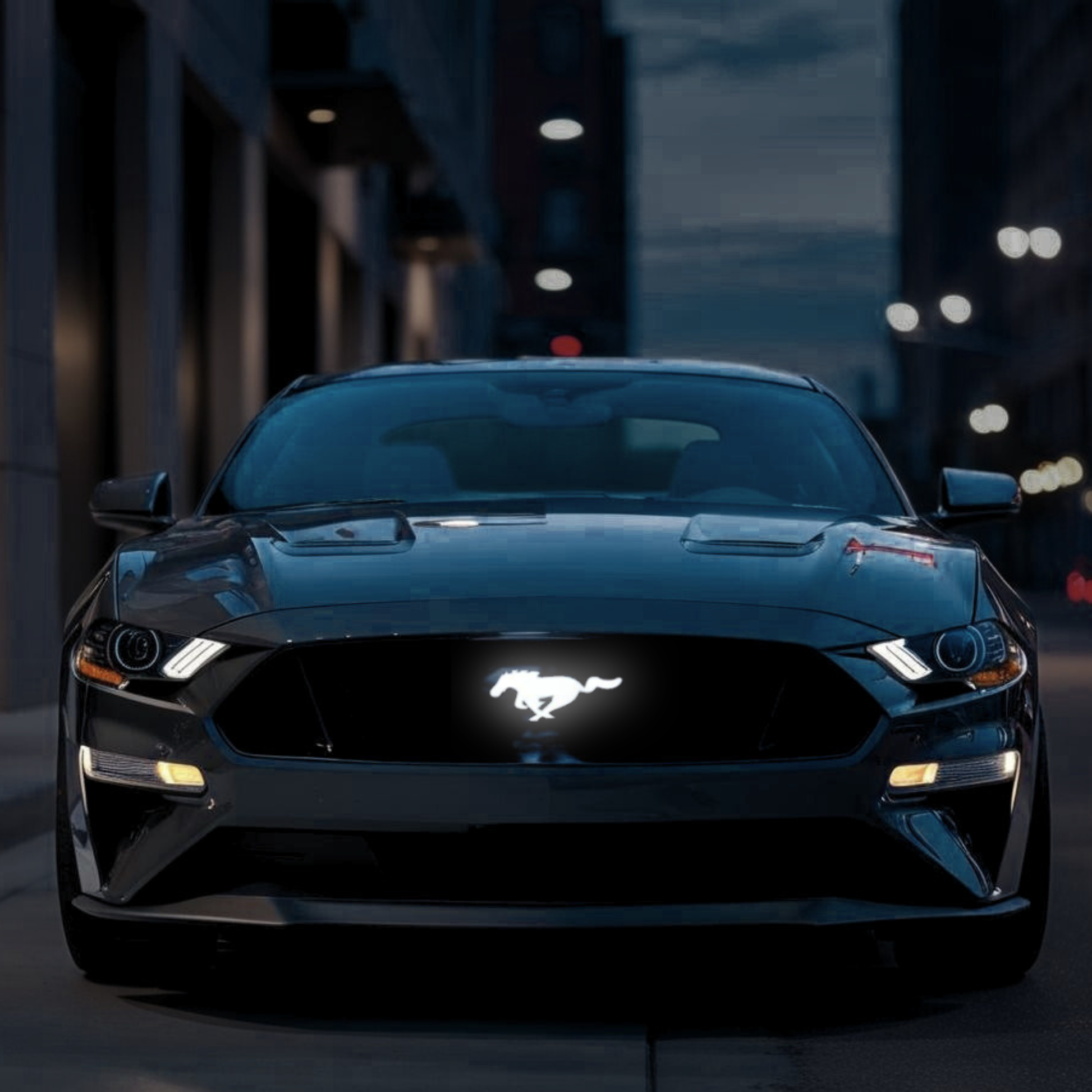 White LED illuminated Ford Mustang pony grille emblem on S550 Mustang at night front view city background